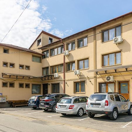 Pensiunea Pictorilor Baia Mare Buitenkant foto