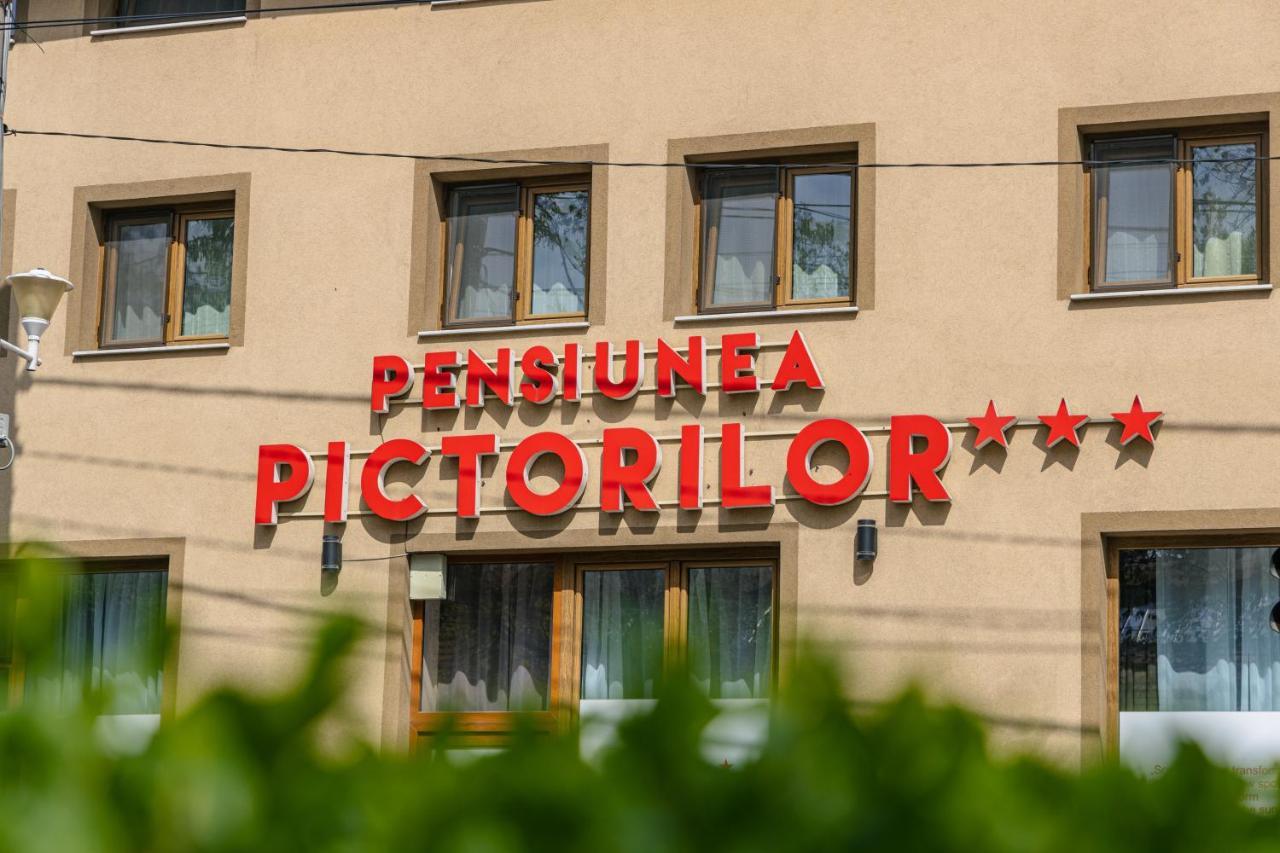 Pensiunea Pictorilor Baia Mare Buitenkant foto