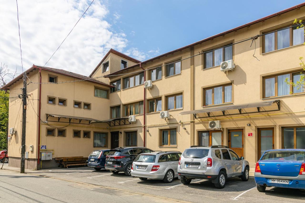 Pensiunea Pictorilor Baia Mare Buitenkant foto