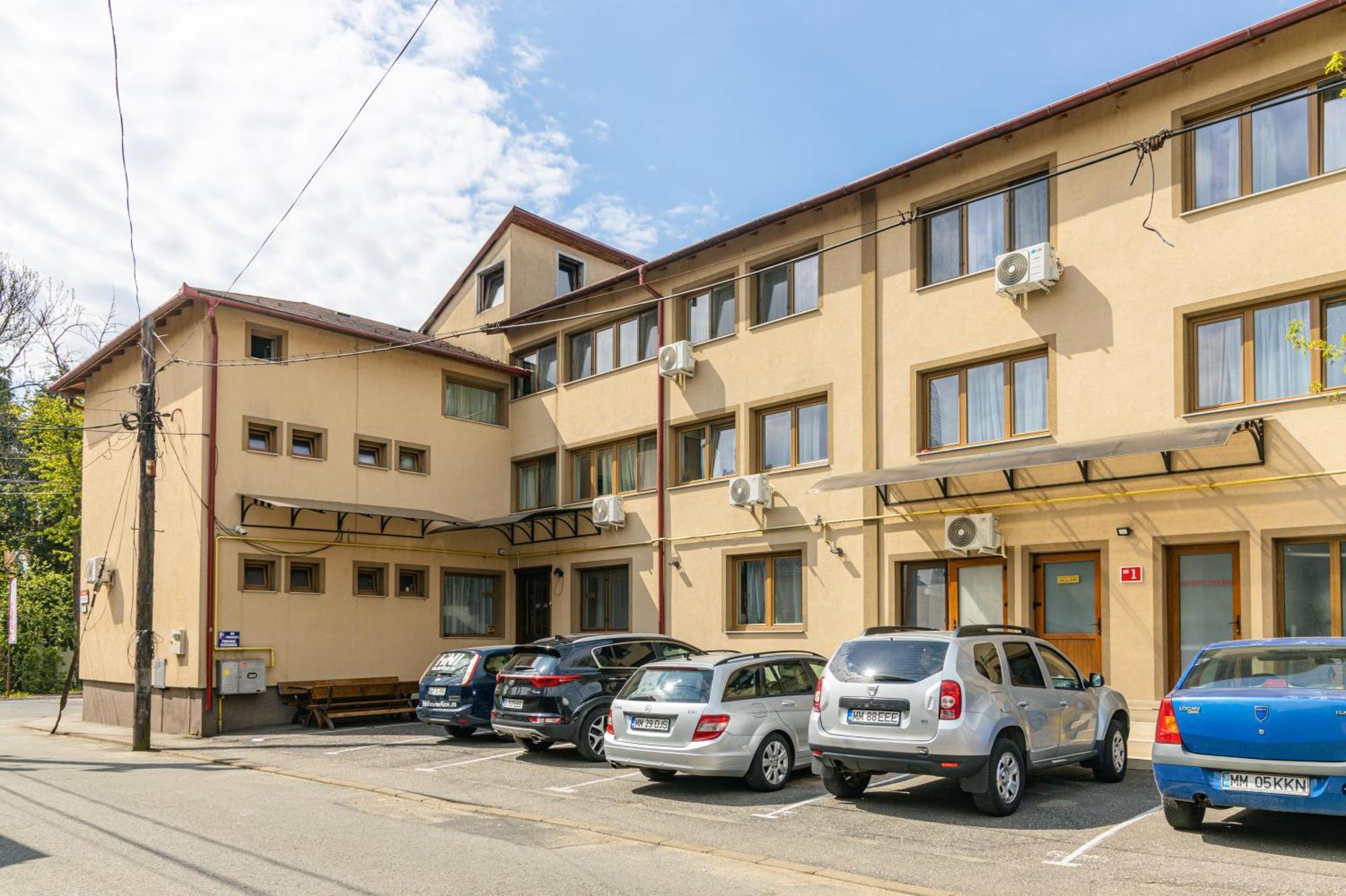 Pensiunea Pictorilor Baia Mare Buitenkant foto