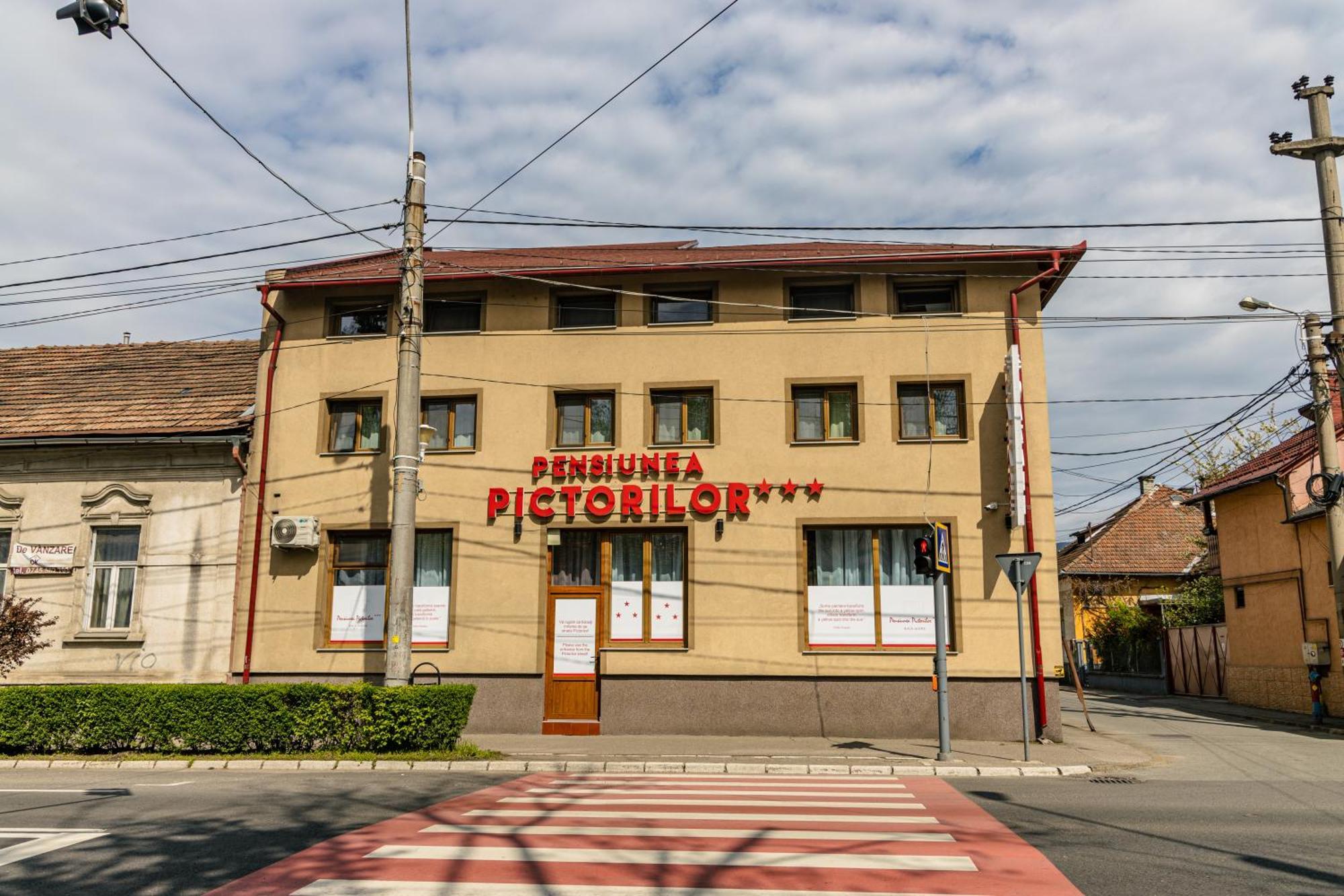 Pensiunea Pictorilor Baia Mare Buitenkant foto
