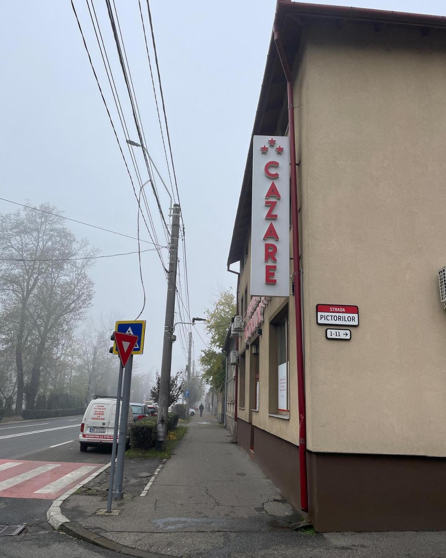Pensiunea Pictorilor Baia Mare Buitenkant foto