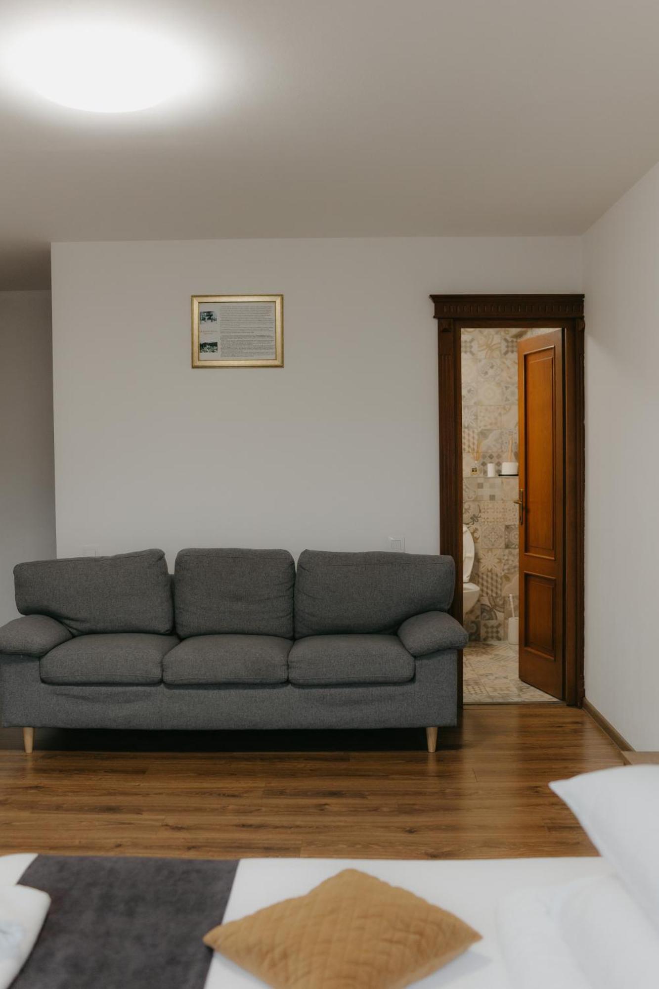 Pensiunea Pictorilor Baia Mare Buitenkant foto