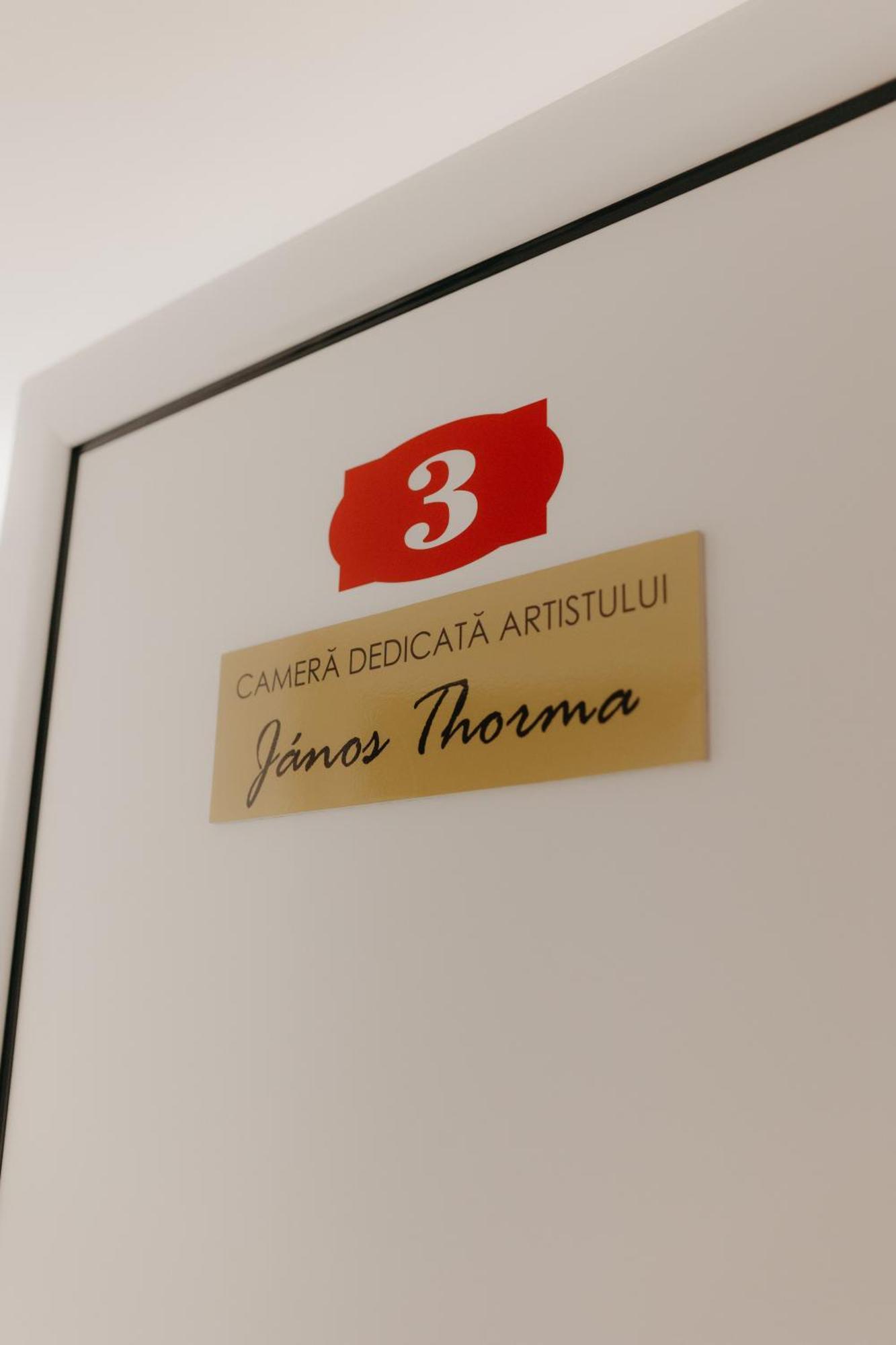 Pensiunea Pictorilor Baia Mare Buitenkant foto